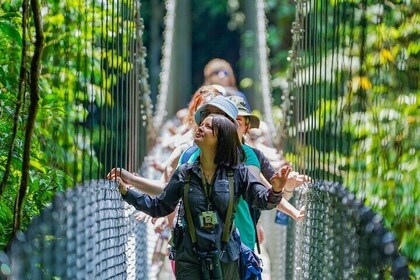 Caminata de puentes colgantes en el Volcán Arenal