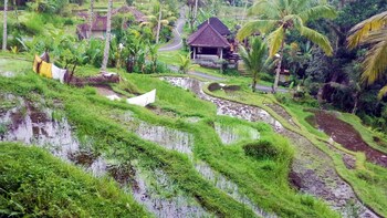 Half-Day Bayad Eco-Trek