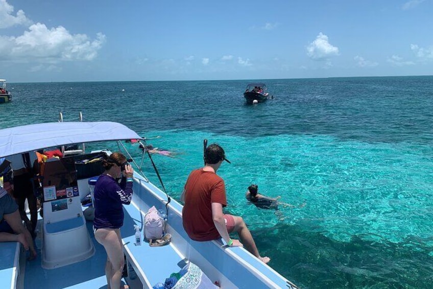 Barrier Reef Adventure With Green Moray Eel,Sting Rays Alley and Beach break