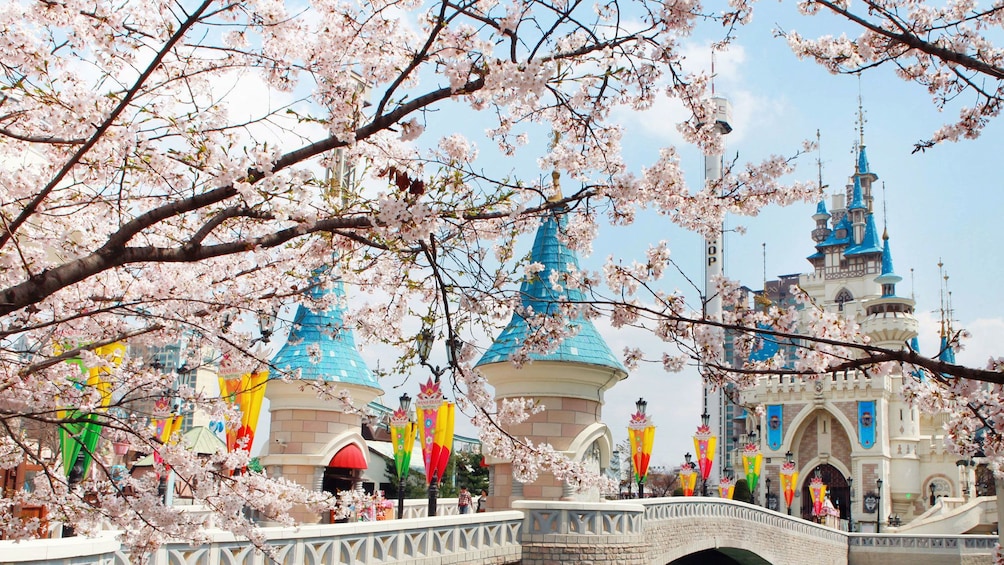 แสดงภาพที่ 2 จาก 5 View of the castle at Lotte World Theme Park in Seoul