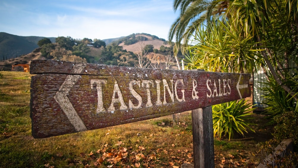 Tasting and Sales sign at a vineyard in San Francisco