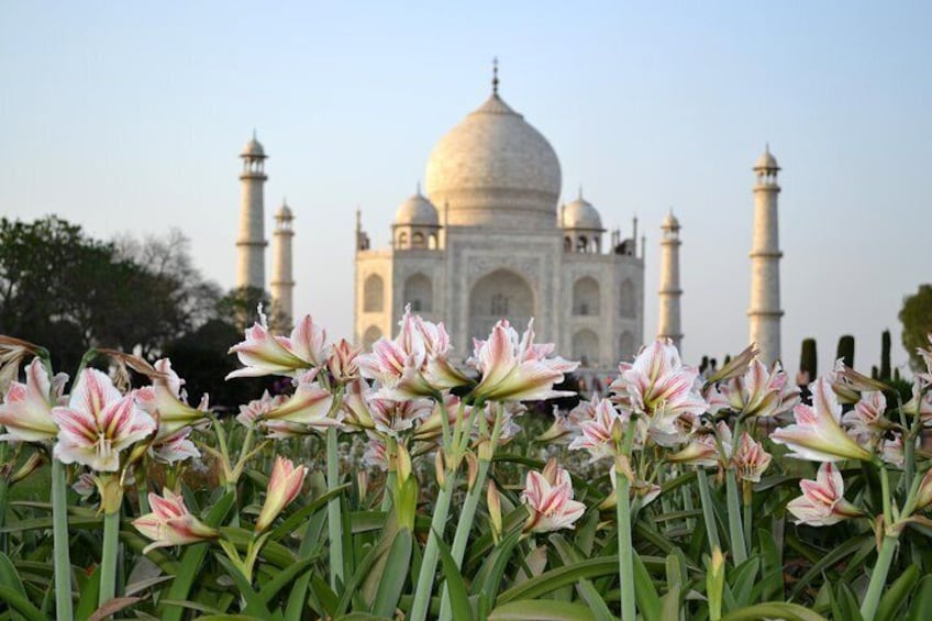 Taj Mahal and Agra Overnight Tour Package from Chennai with Flight