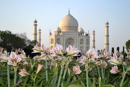 Taj Mahal Sunrise and Agra Overnight Tour from Chennai