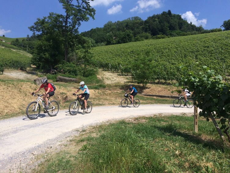 Show item 1 of 7. E-bike tour, Barolo wine tasting and app