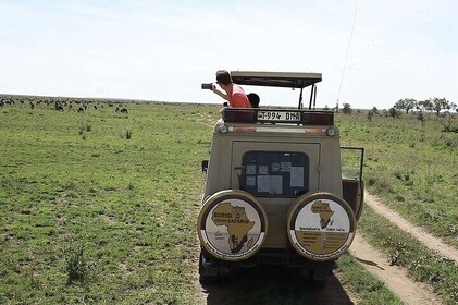 3-Day Tanzania Group Safari-Tarangire, Ngorongoro & Lake Manyara