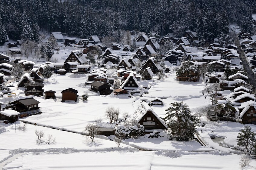 Snow in Shirakawa-go