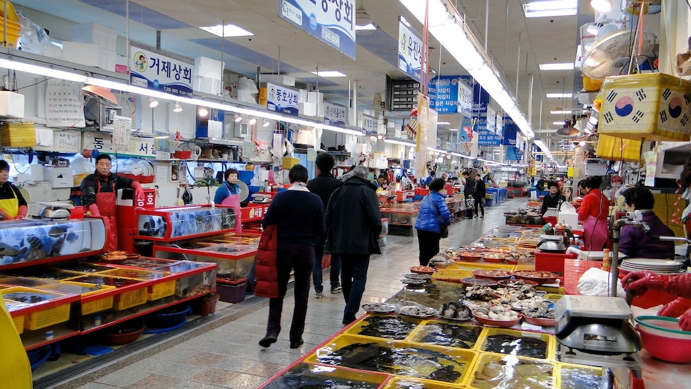 View of the Jagalchi Market in Busan 