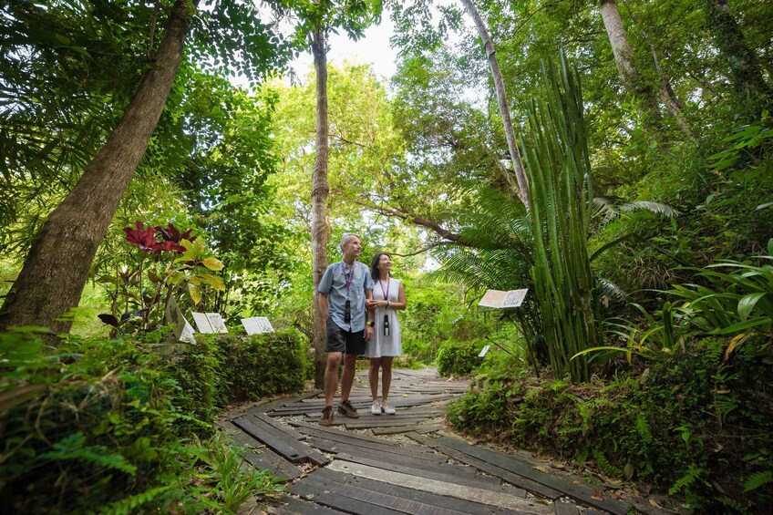 正在顯示第 2 張相片,共 8 張。 Tropical Spice Garden Cooking Class