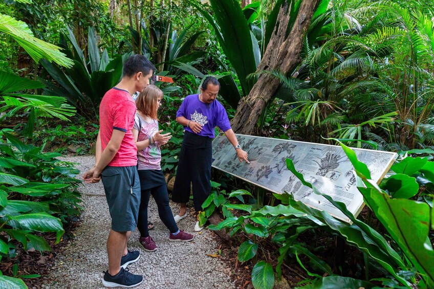 正在顯示第 3 張相片,共 8 張。 Tropical Spice Garden Cooking Class