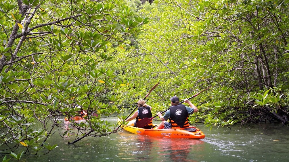 Kayakers on a river in Ao Talen