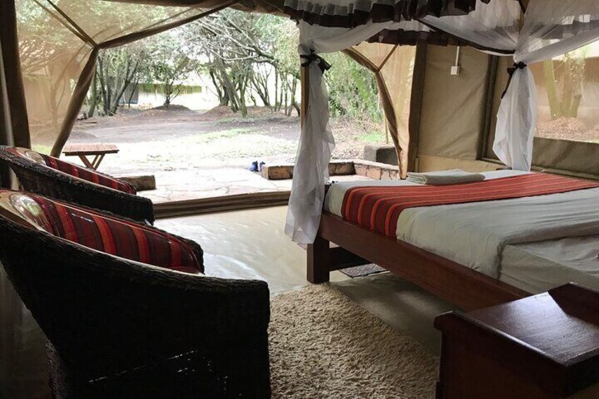 wildlife camp