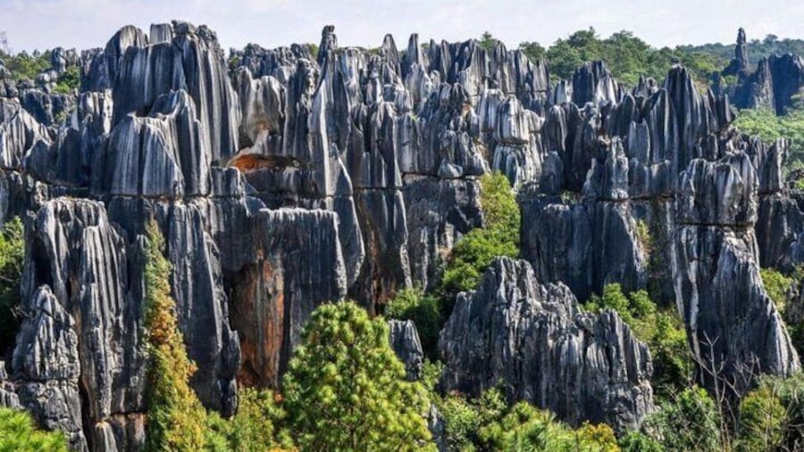 One day Stone Forest and Nuohei Yi Village Tour