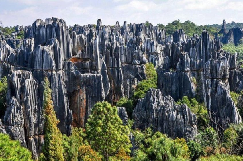 One day Stone Forest and Nuohei Yi Village Tour