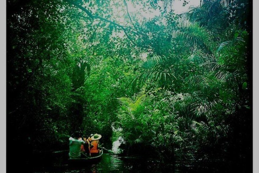 Experience Nzulezu! A village on stilts!