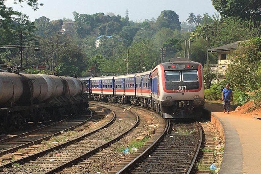 This is how train looks like from outside (Peradeniya station) 