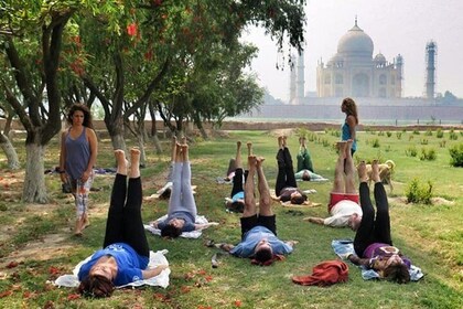 Yoga Class In The Shadow of Tajmahal