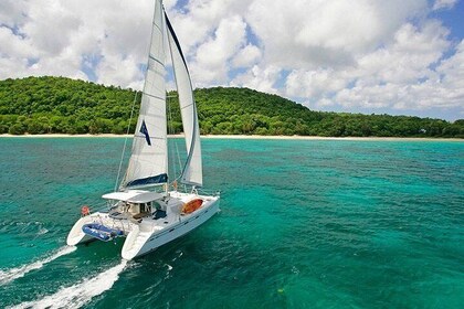 Exclusive Private Catamaran Adventure: Ile aux Cerf (Full Day Cruise incl L...