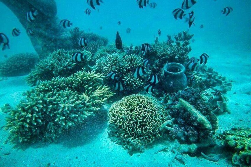 Catamaran Experience to Ile aux cerf: incl: Parasailing, Lunch, GRSE & Transfer