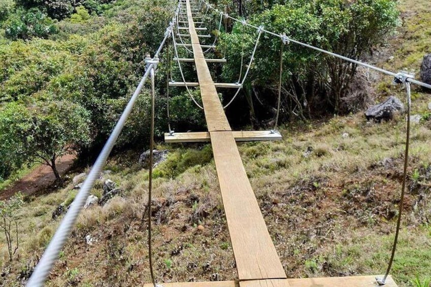 Full Day Safari Tour at La Vallee des Couleurs Nature Park