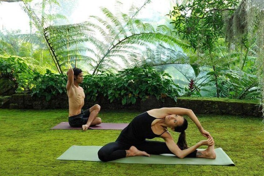 Yoga In Garden