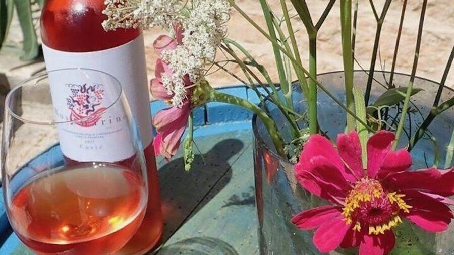 Caric vinery