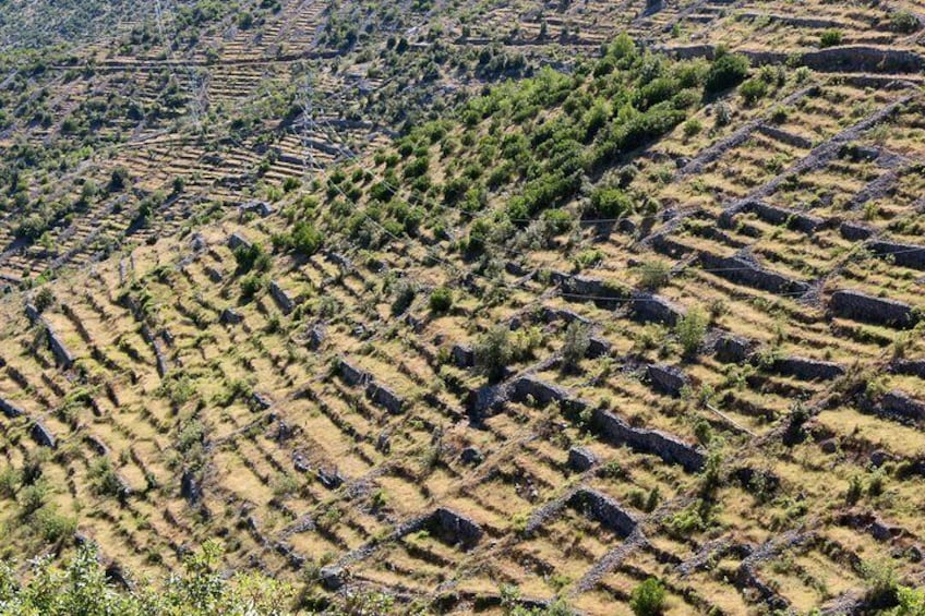 Dried stone walls