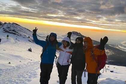 Kilimanjaro Escalada Ruta Lemosho 8 días.