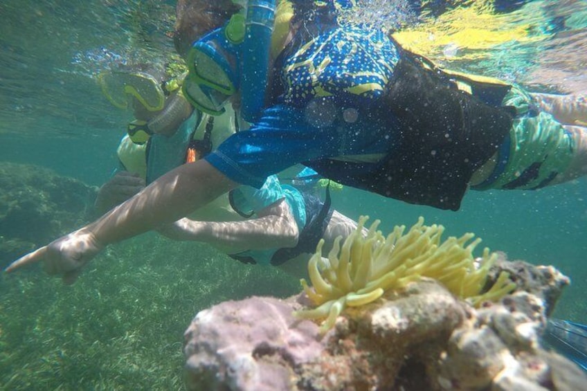 Snorkeling & Kayak Mini Eco-Adventure