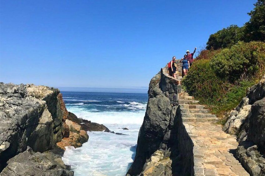Pacific Ocean Hike Private Tour 7K