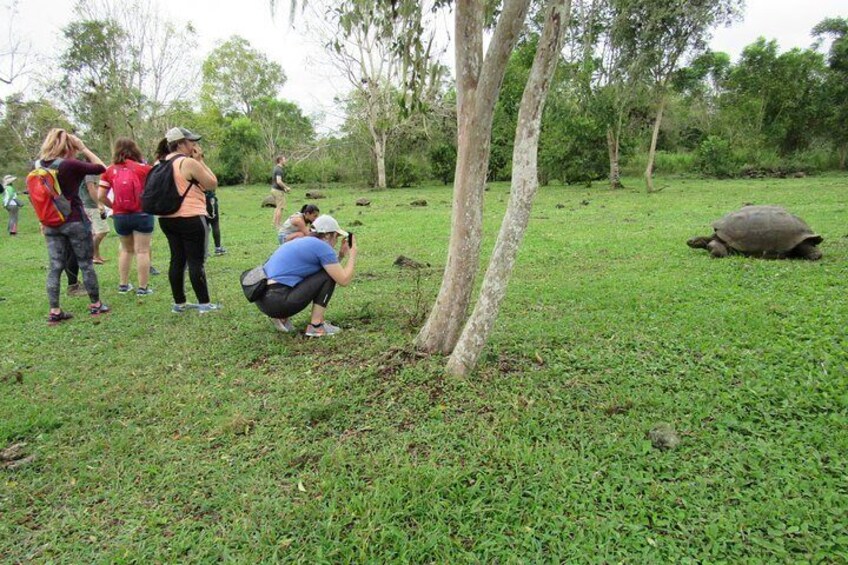 Galapagos Surprising 4 Days