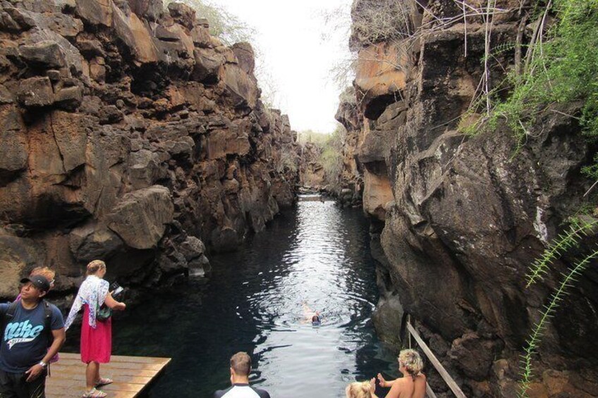 Galapagos Surprising 4 Days