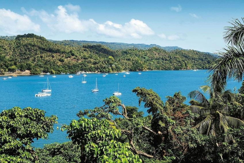 Los Haitises National Park, Montaña Redonda & Bacardi Island