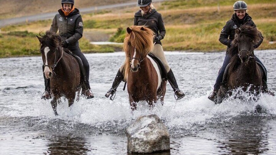 The Viking Horse Riding Experience in North Iceland