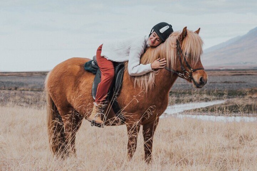 The Viking North Iceland Horse Riding in Winter Experience