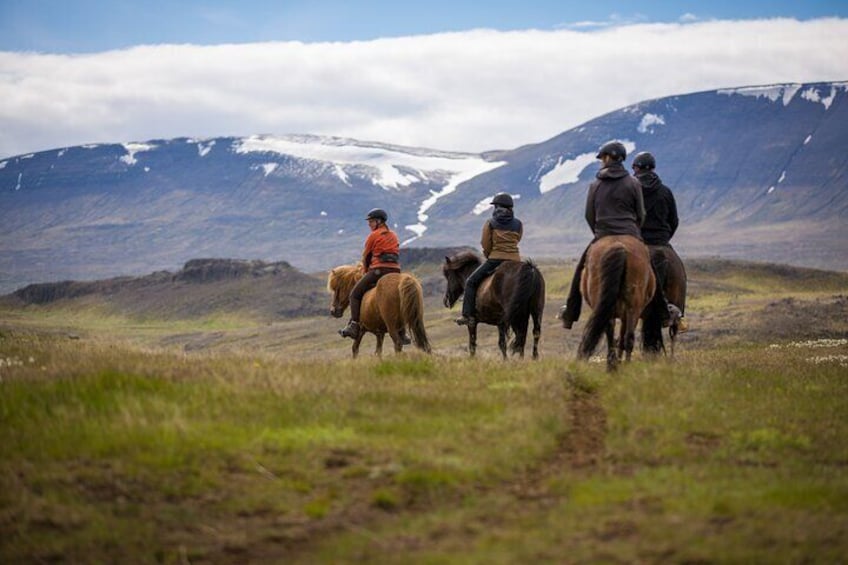 The Viking North Iceland Horse Riding in Winter Experience