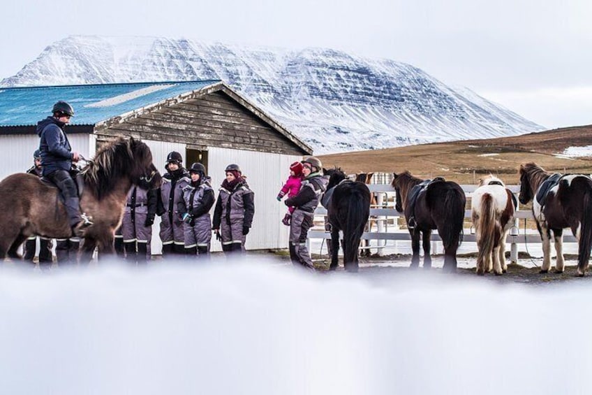 The Viking North Iceland Horse Riding in Winter Experience
