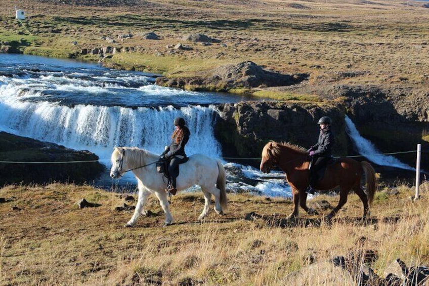 The Viking Horse Riding Experience in North Iceland