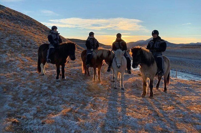The Viking North Iceland Horse Riding in Winter Experience