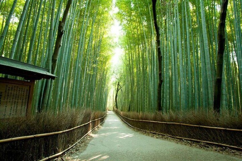 Famous bamboo street in Kyoto.