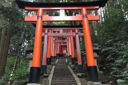 【Fushimi inari shrine】A local born in Kyoto shares the secret path away tou...
