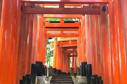 【Fushimi inari shrine】A local born in Kyoto shares the secret path away tou...