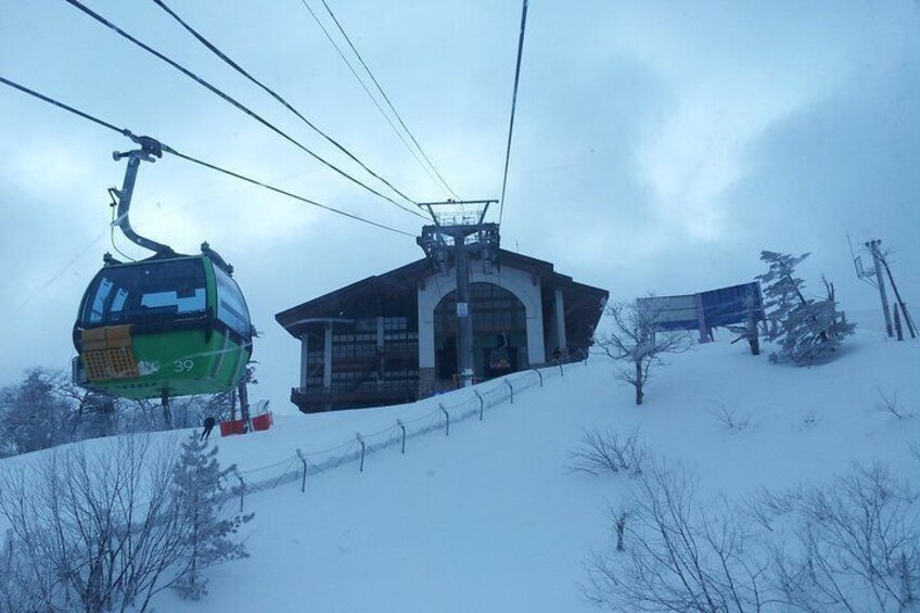 PRIVATE SKI TOUR in Pyeongchang Olympic Ski Resort(More Members Less Cost)