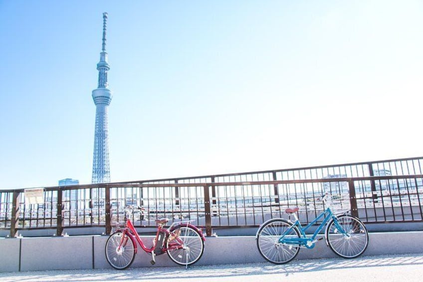 [electric bicycle tour]: 6-hour travel course by electric bicycle Asakusa, Ueno Park, Edo-Tokyo Museum, and Sky Tree. (There is a support car.)