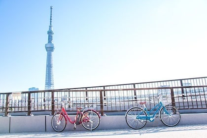 [electric bicycle tour]: 6-hour travel course by electric bicycle Asakusa, ...