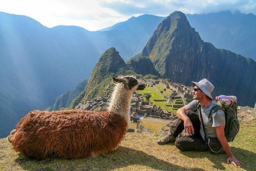 Make some llama friends at Machu Picchu