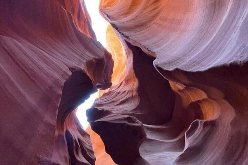 Grand Canyon South Rim, Antelope Canyon, Horseshoe Bend Day Tour from Las Vegas