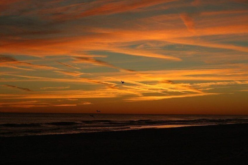 Sunset Dolphin Watching Cruise