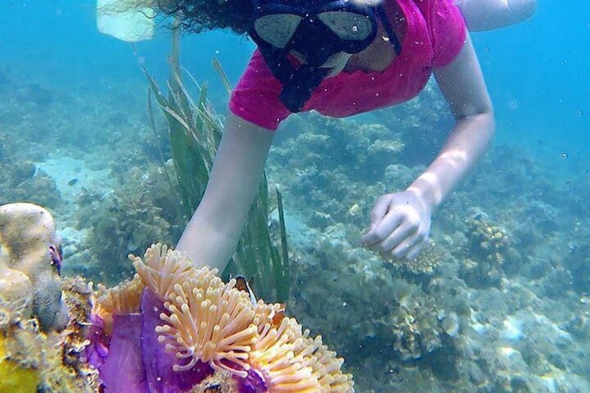 Bintan Snorkeling Tour