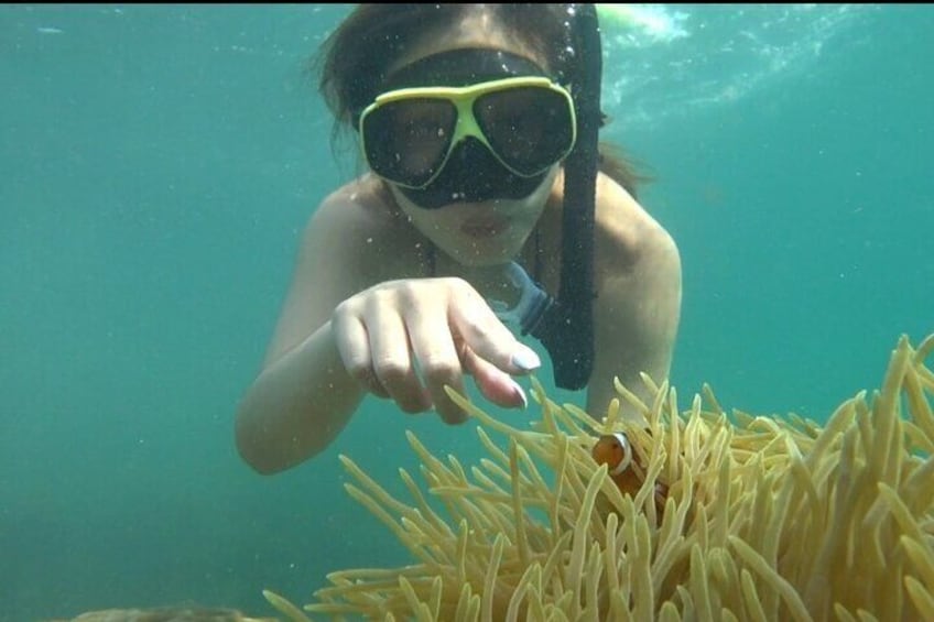 Bintan Snorkeling Tour