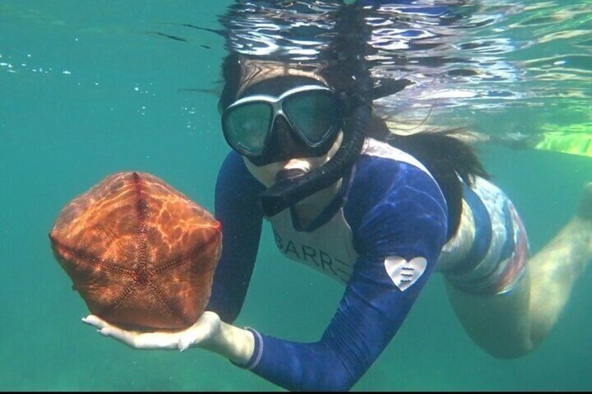 Bintan Snorkeling Tour